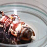 Insect Mass Rearing Workshop